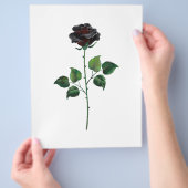 Blume der schwarzen Rose Flyer (Hand)