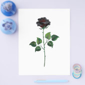 Blume der schwarzen Rose Flyer (Einzeln)