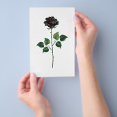 Blume der schwarzen Rose Flyer (Handgriff)