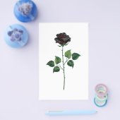 Blume der schwarzen Rose Flyer (Einzeln)