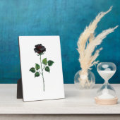Blume der schwarzen Rose Fotoplatte (Seite)