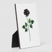 Blume der schwarzen Rose Fotoplatte (Seite)