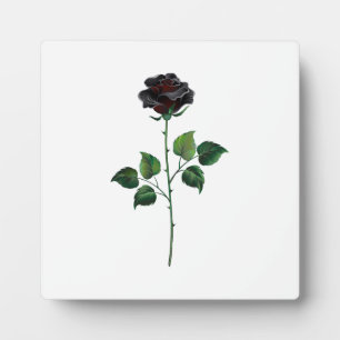Blume der schwarzen Rose Fotoplatte