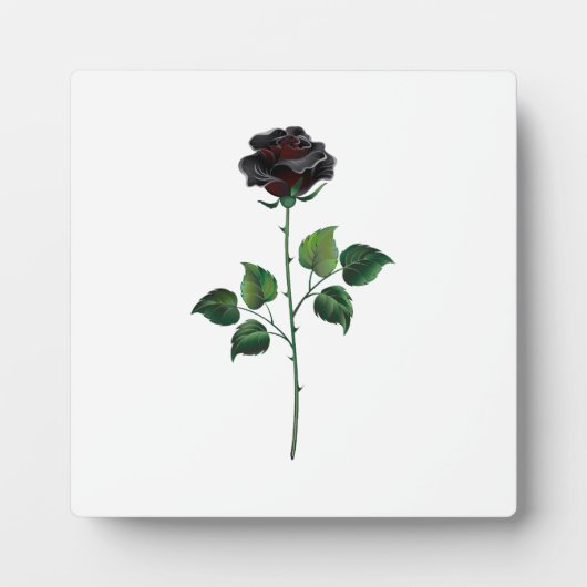 Blume der schwarzen Rose Fotoplatte (Vorderseite)