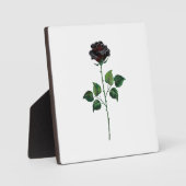 Blume der schwarzen Rose Fotoplatte (Vorderseite)