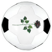 Blume der schwarzen Rose Fußball (Gedreht)