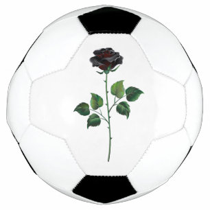 Blume der schwarzen Rose Fußball