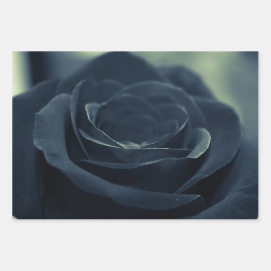 Blume der schwarzen Rose Geschenkpapier Set (Vorderseite 2)