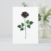 Blume der schwarzen Rose Karte (Stehend Vorderseite)