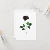 Blume der schwarzen Rose Karte (Vorderseite/Rückseite Beispiel)