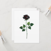 Blume der schwarzen Rose Karte (Vorderseite/Rückseite Beispiel)