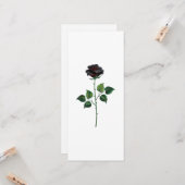 Blume der schwarzen Rose Karte (Vorderseite/Rückseite Beispiel)