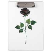 Blume der schwarzen Rose Klemmbrett (Vorderseite)