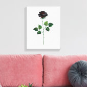 Blume der schwarzen Rose Leinwanddruck (Insitu (Wohnzimmer))