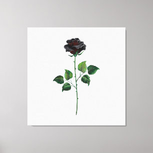 Blume der schwarzen Rose Leinwanddruck