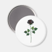 Blume der schwarzen Rose Magnet (Vorderseite/Rückseite)