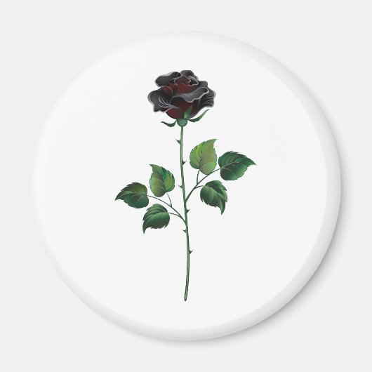 Blume der schwarzen Rose Magnet (Vorne)