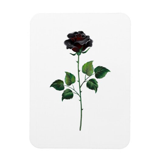 Blume der schwarzen Rose Magnet (Vertikal)