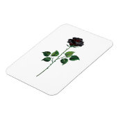 Blume der schwarzen Rose Magnet (Linke Seite)
