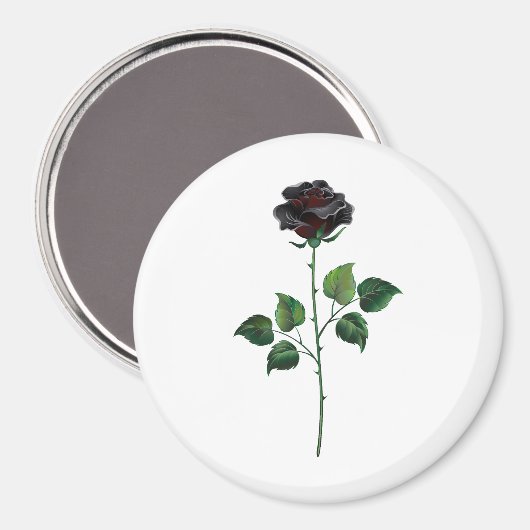 Blume der schwarzen Rose Magnet (Vorderseite/Rückseite)