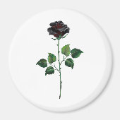 Blume der schwarzen Rose Magnet (Vorne)