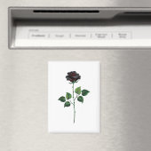 Blume der schwarzen Rose Magnet (In Situ (Geschirrspüler))