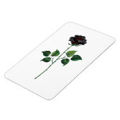 Blume der schwarzen Rose Magnet (Linke Seite)