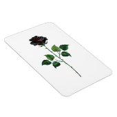 Blume der schwarzen Rose Magnet (Rechte Seite)