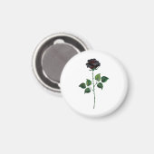 Blume der schwarzen Rose Magnet (Vorderseite/Rückseite)