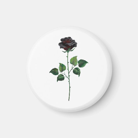 Blume der schwarzen Rose Magnet (Vorne)