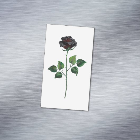 Blume der schwarzen Rose Magnetische Visitenkarte (Beispiel)
