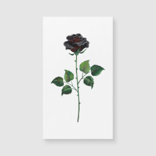 Blume der schwarzen Rose Magnetkarte
