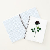 Blume der schwarzen Rose Notizblock (Innenseite)