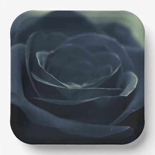 Blume der schwarzen Rose Pappteller (Vorderseite)