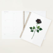 Blume der schwarzen Rose Planer (Anzeige)