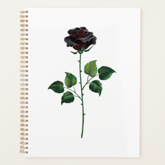 Blume der schwarzen Rose Planer (Vorderseite)