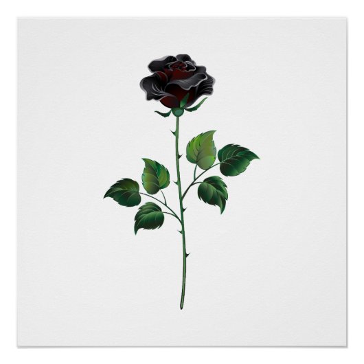 Blume der schwarzen Rose Poster (Vorderseite)