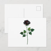 Blume der schwarzen Rose Postkarte (Vorne/Hinten)