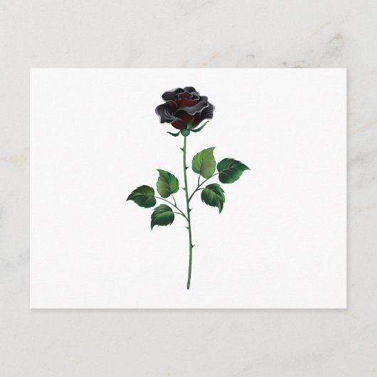 Blume der schwarzen Rose Postkarte (Vorderseite)