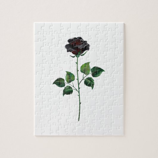 Blume der schwarzen Rose Puzzle (Vertikal)