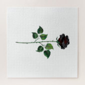 Blume der schwarzen Rose Puzzle (Horizontal)