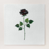 Blume der schwarzen Rose Puzzle (Vertikal)