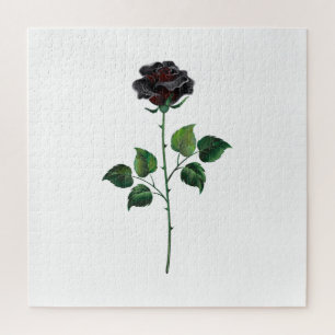 Blume der schwarzen Rose Puzzle