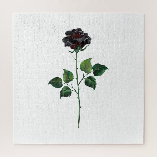Blume der schwarzen Rose Puzzle (Vertikal)