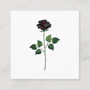Blume der schwarzen Rose Quadratische Visitenkarte