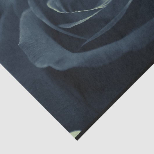 Blume der schwarzen Rose Seidenpapier (Ausschnitt)