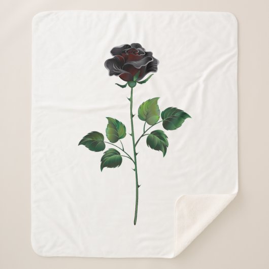 Blume der schwarzen Rose Sherpadecke (Vorderseite)