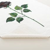 Blume der schwarzen Rose Sherpadecke (3/4)