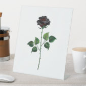 Blume der schwarzen Rose Sockelschild (In Situ)