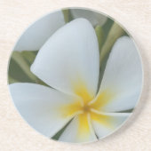 Blume der tropischen Plumeria aus Fidschi Sandstein Untersetzer (Vorne)